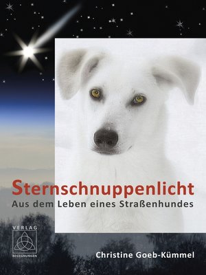 cover image of Sternschnuppenlicht